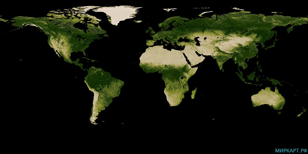 карта мира растительный покров