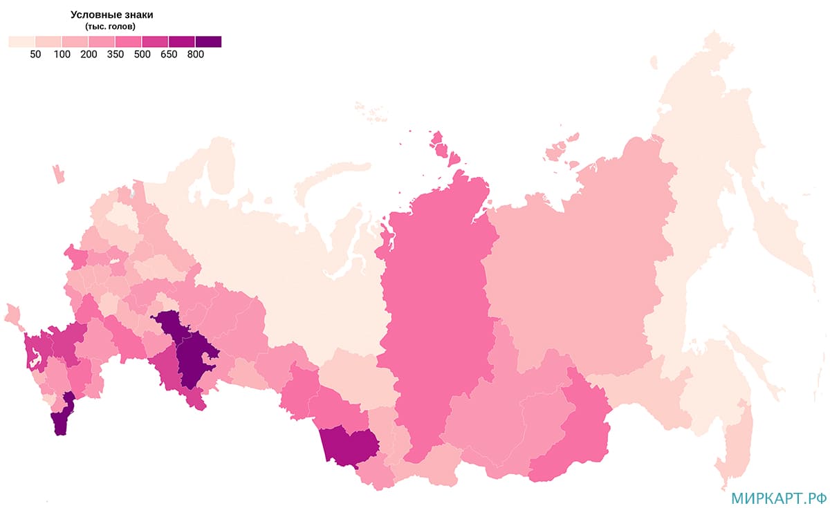 карта России поголовью крупного рогатого скота