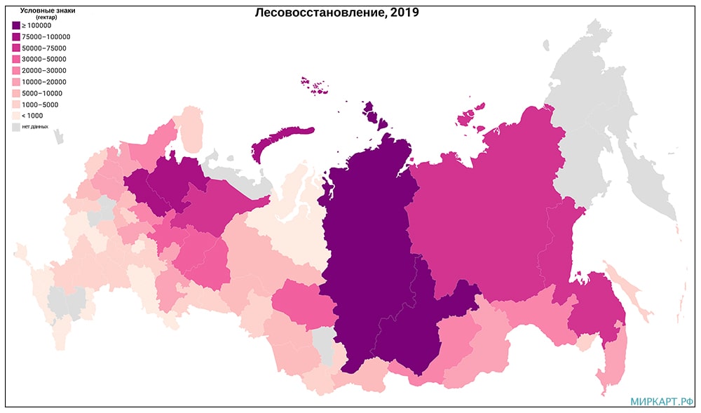 карта России по лесовосстановлению 2019
