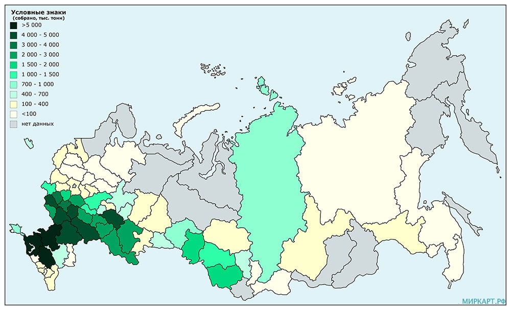 Карта России сбор зерновых и зернобобовых культур на сентябрь 2020 года